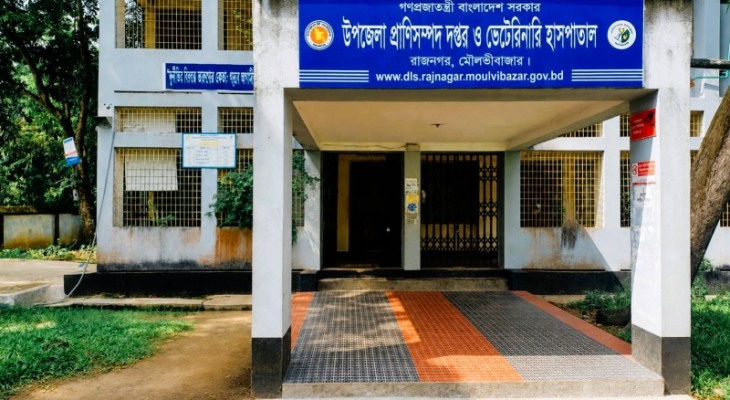 ভেটেরিনারি সার্জন নেই ৬ বছর,বিপাকে ৫ শতাধিক খামারি